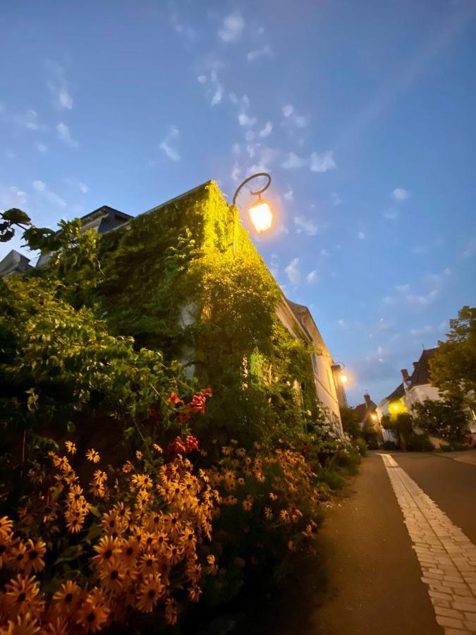 Le Lavoir Aux Roses Hébergement de vacances Chédigny