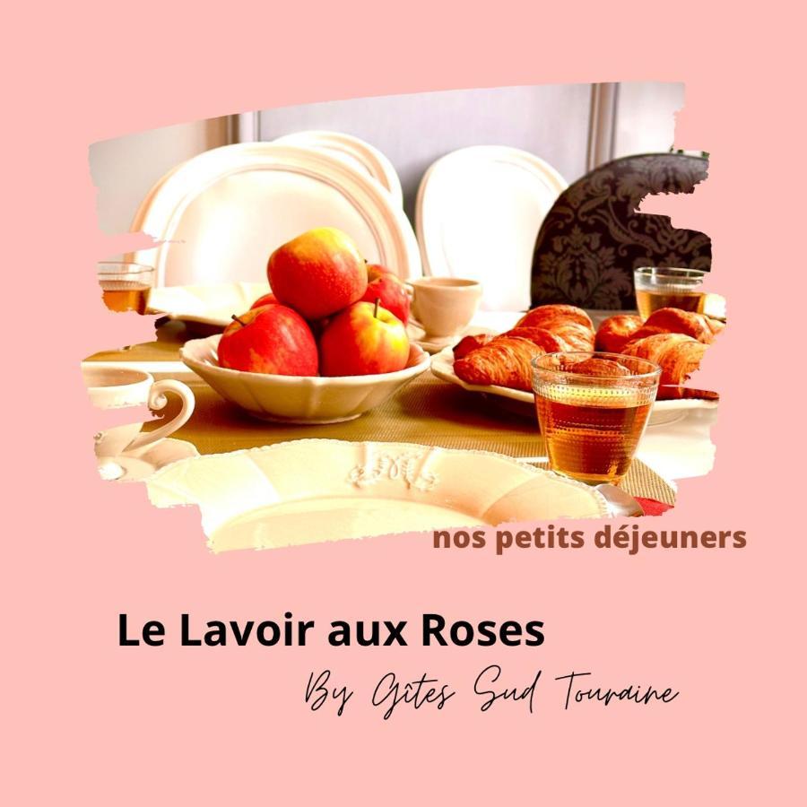Le Lavoir Aux Roses * Chédigny